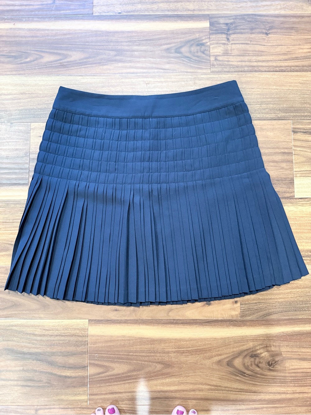 J. Crew Navy Pleated Mini Skirt